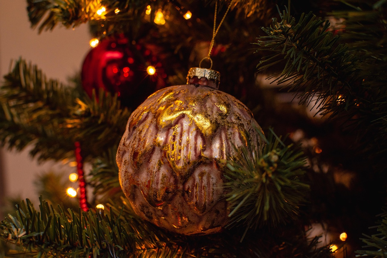 image-20251208131716-1